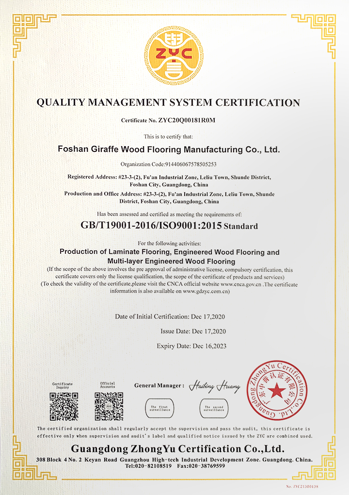 GB/T19001-2016/ISO9001:2015 Standard